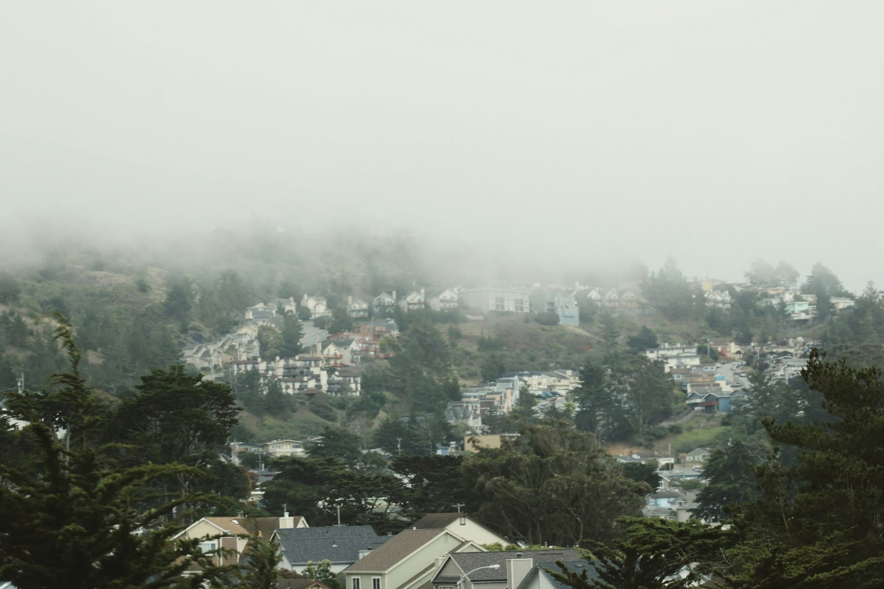 Houses on a city hillside, half in fog.