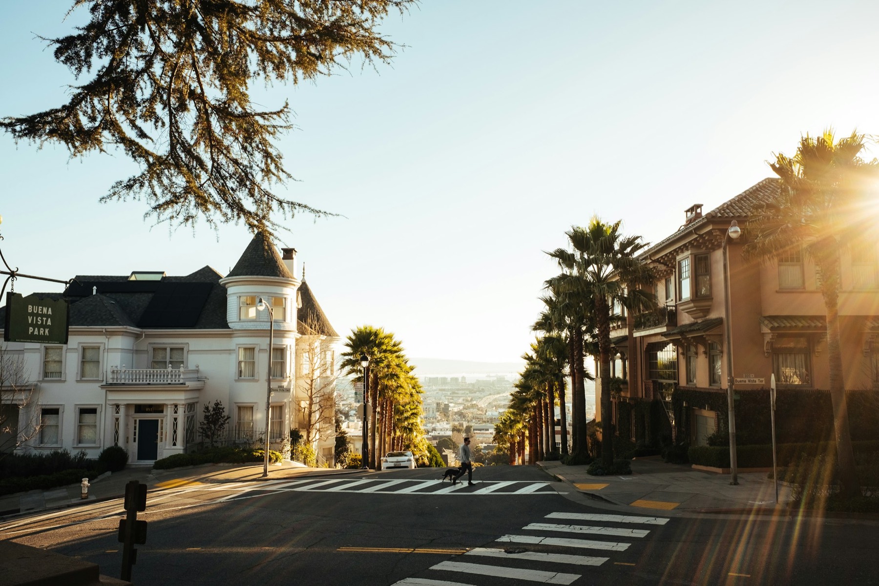 A sunlit street of houses and palm trees.